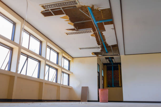 Best Residential water damage restoration  in Kill Devil Hills, NC