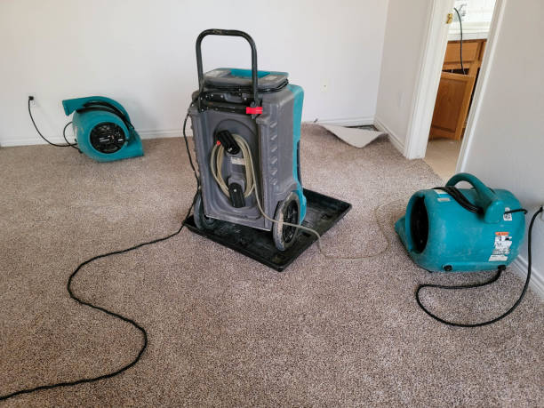 Best Professional water damage repair  in Kill Devil Hills, NC