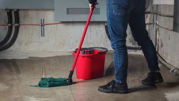 Best 24-hour water damage restoration  in Kill Devil Hills, NC