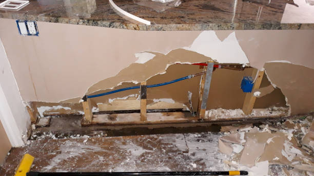 Best Flood damage cleanup  in Kill Devil Hills, NC