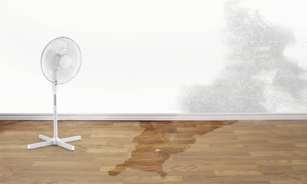 Best Flood restoration services  in Kill Devil Hills, NC