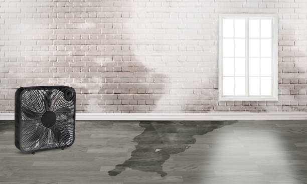 Local water damage restoration in Kill Devil Hills, NC