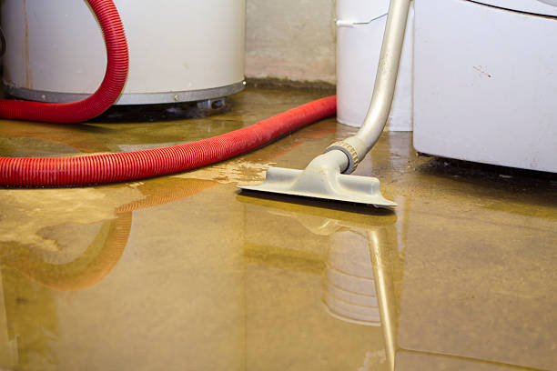 Best Water damage restoration near me  in Kill Devil Hills, NC