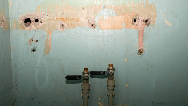 Trusted Kill Devil Hills, NC Water damage restoration Experts