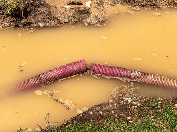 Best Carpet water damage restoration  in Kill Devil Hills, NC