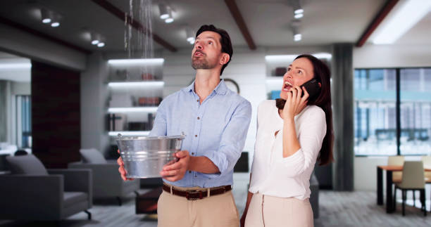 Best Flooded house restoration  in Kill Devil Hills, NC